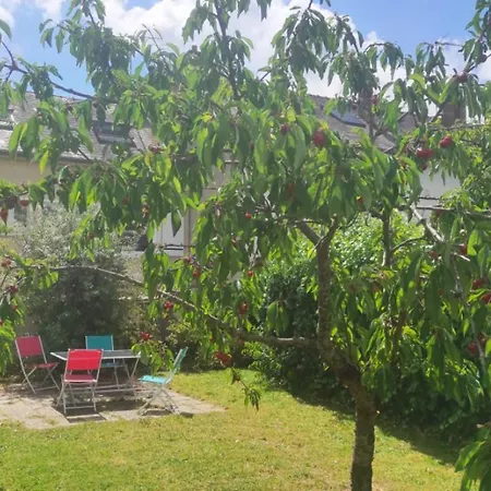 Hébergement de vacances Maison 6 Avec Jardin à